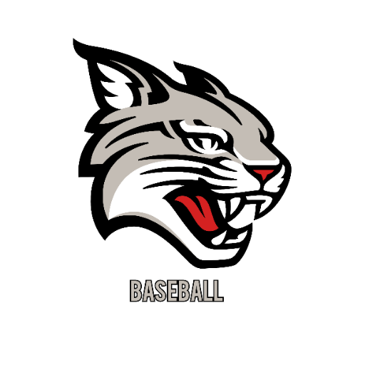 Davidson Wildcats Baseball